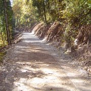 realizzazione strade forestali (15)